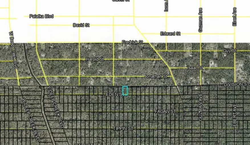 Division Street, Hastings, FL 32145 - #2