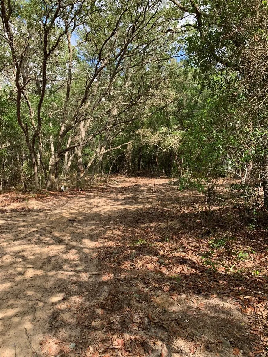 132 SW 52nd Avenue, Interlachen, FL 32148 - #3