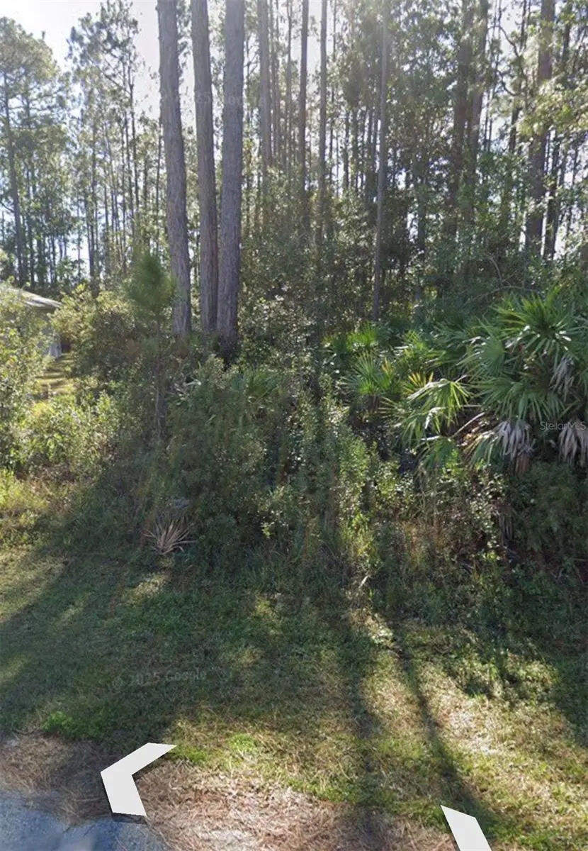 31 Red Clover Lane, Palm Coast, FL 32164 - #1