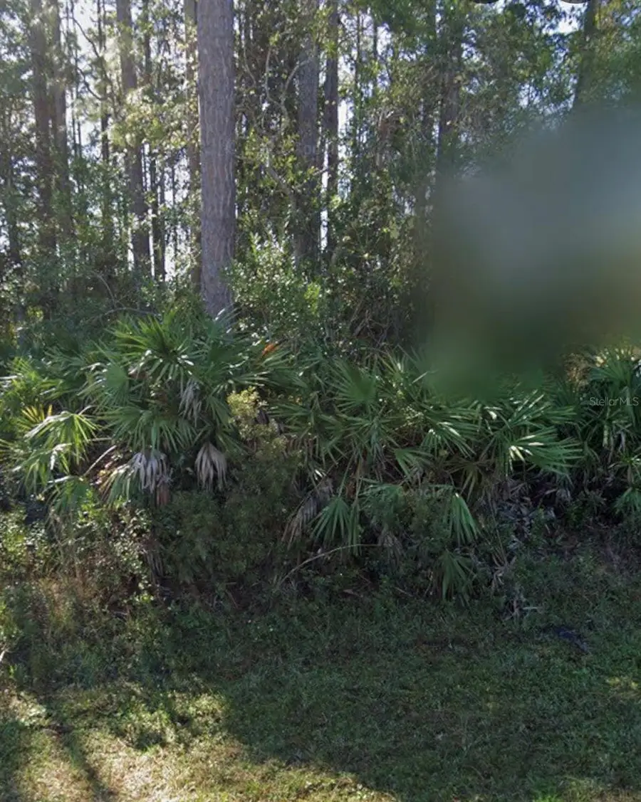 31 Red Clover Lane, Palm Coast, FL 32164 - #3