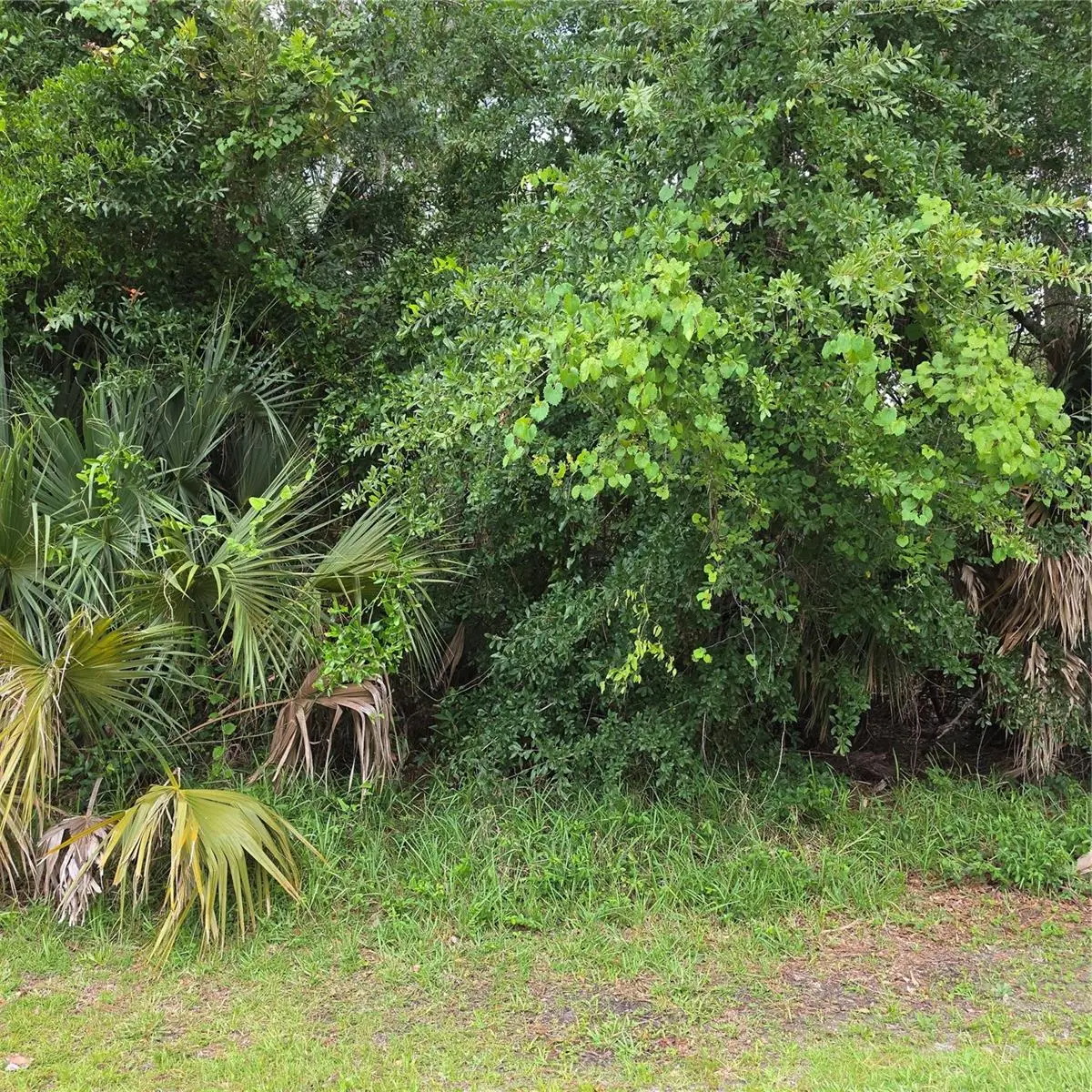 19 Wasserman Drive, Palm Coast, FL 32164 - #1