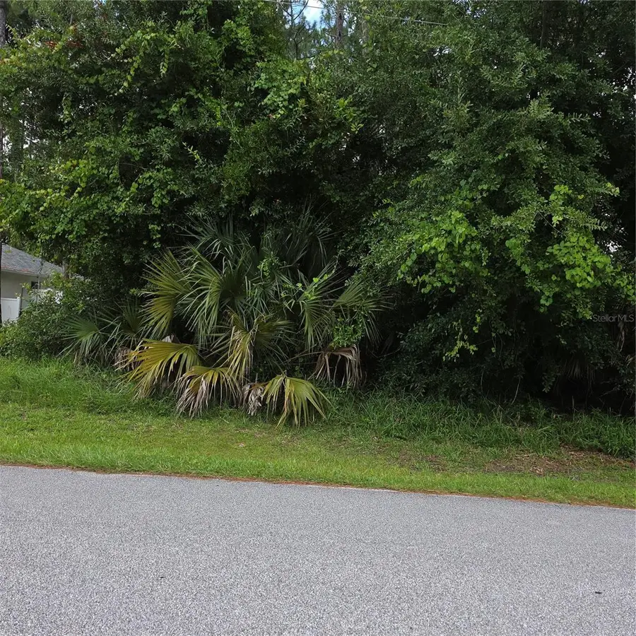 19 Wasserman Drive, Palm Coast, FL 32164 - #2