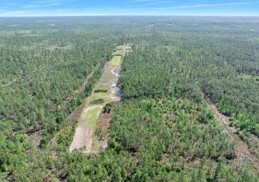 0 Carter Street, Bunnell, FL 32110 - #3