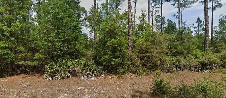 148 Arden Street, Georgetown, FL 32139 - #2