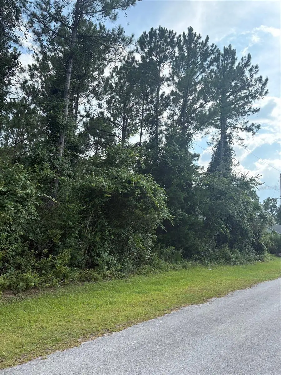 17 Uhlerwood Court, Palm Coast, FL 32164 - #1