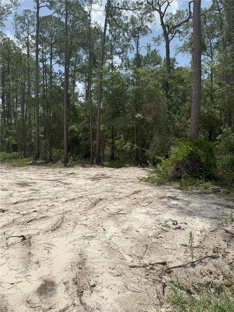 1573 Laurel Avenue, Bunnell, FL 32110 - #3