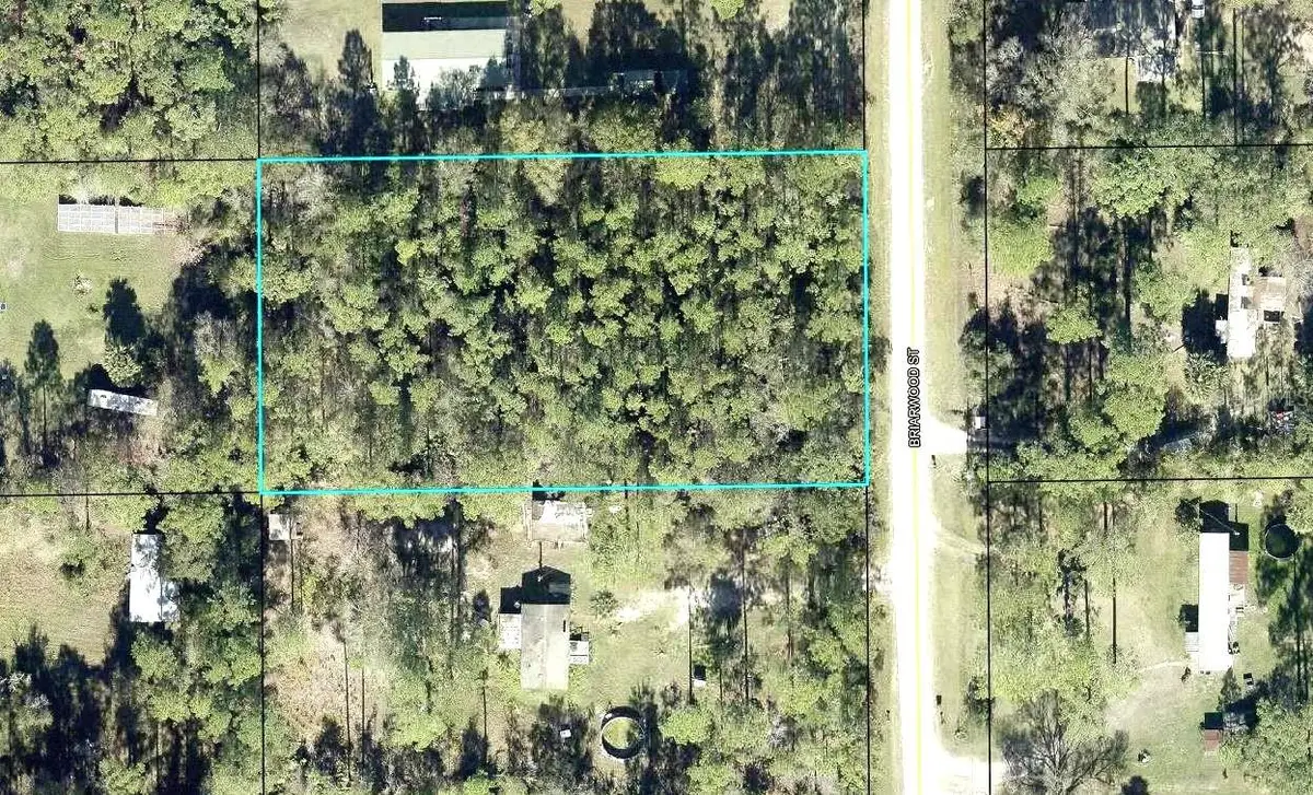 2828 Briarwood Street, Bunnell, FL 32110 - #1