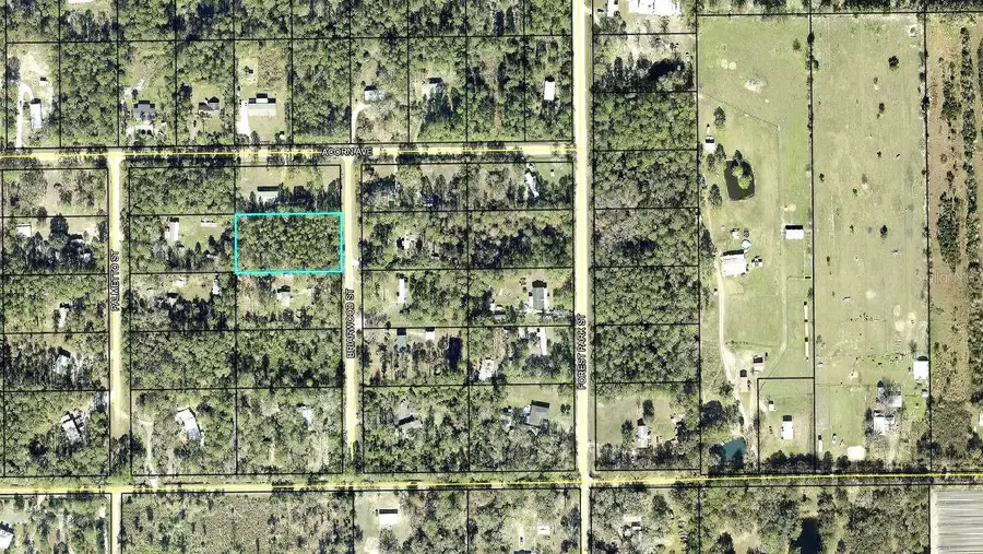2828 Briarwood Street, Bunnell, FL 32110 - #2