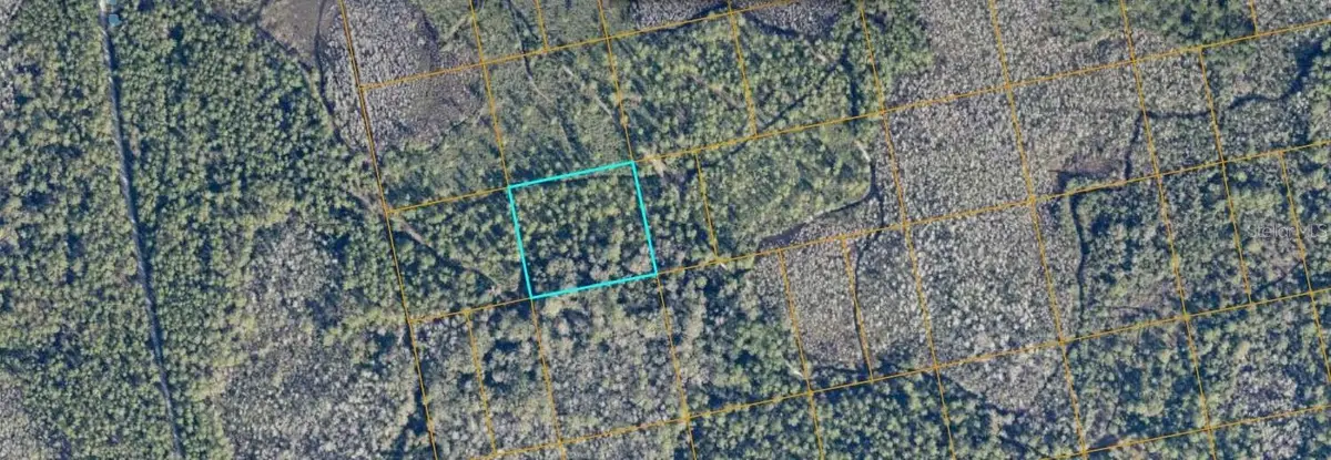 Unimproved, Oak Hill, FL 32759 - #1