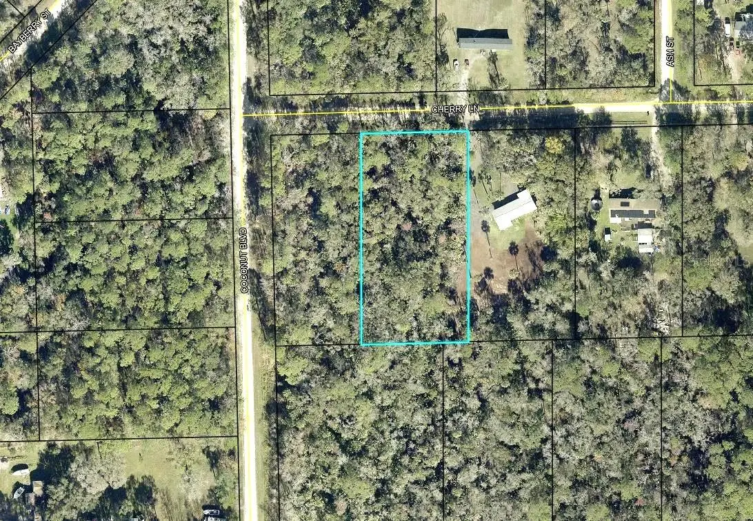6413 Cherry Lane, Bunnell, FL 32110 - #1