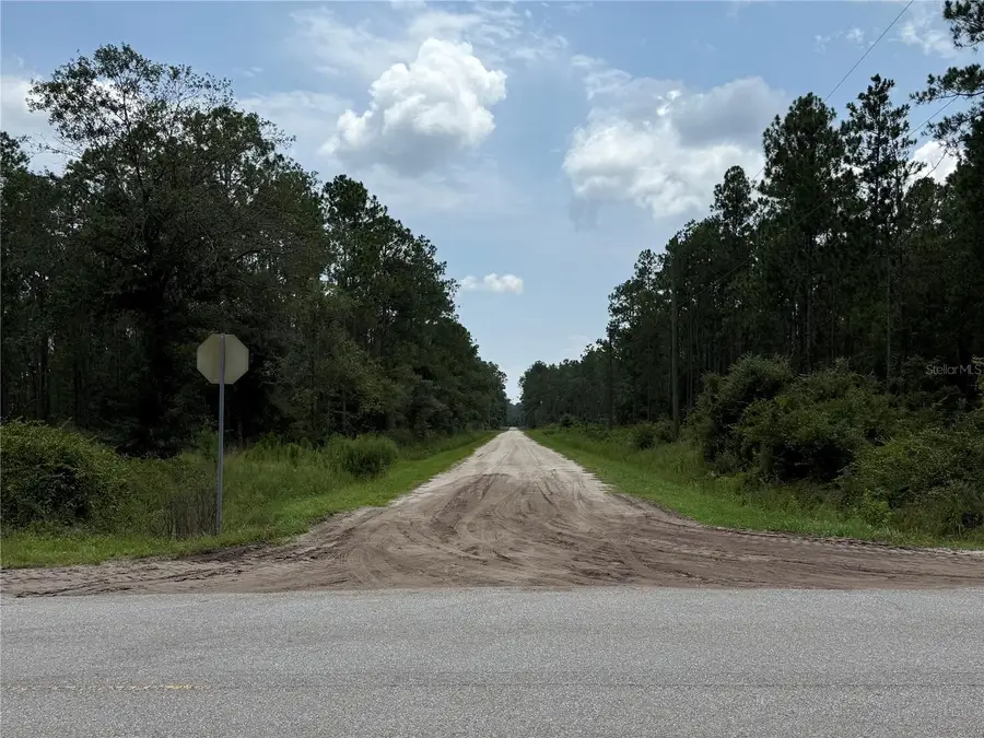 10620 Delgado Avenue, Hastings, FL 32145 - #3