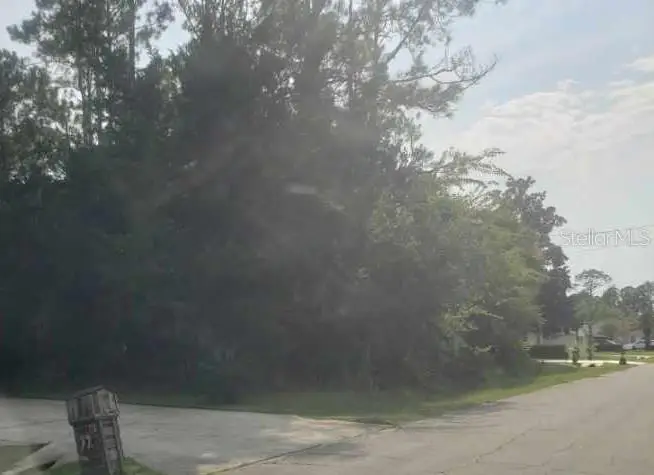 74 Randolph Drive, Palm Coast, FL 32164 - #3