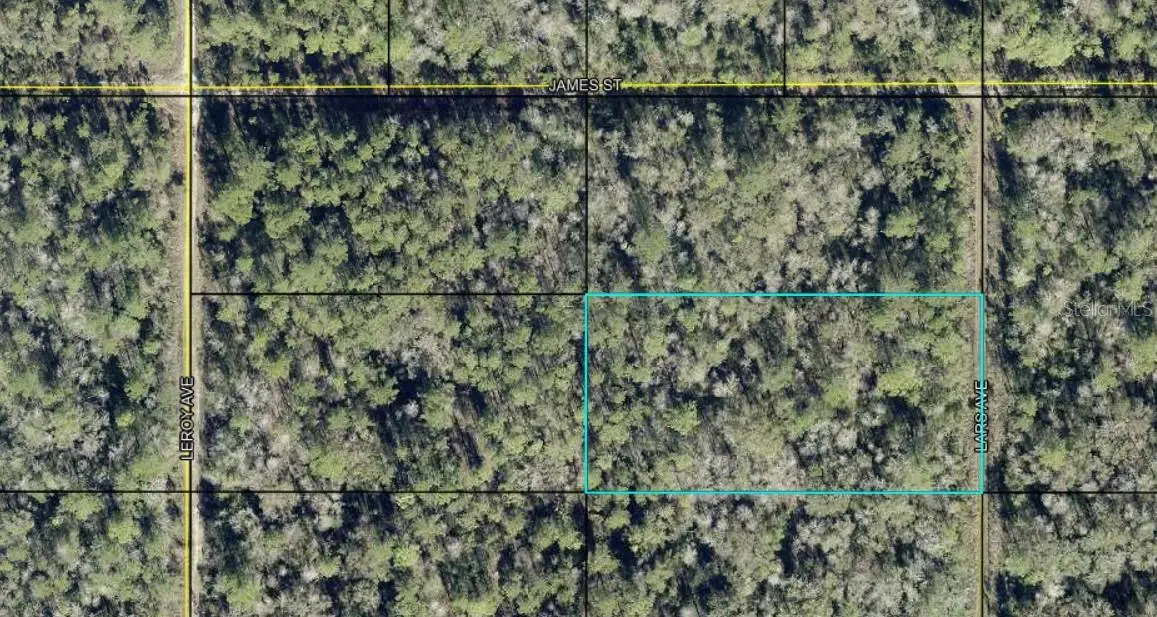 x Lars Avenue, Hastings, FL 32145 - #1