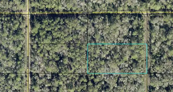 x Lars Avenue, HASTINGS, FL 32145