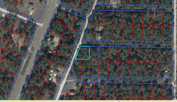 0 Ne 11th Street, WILLISTON, FL 32696