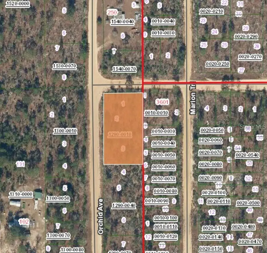 XX Orchid Ave, Interlachen, FL 32148 - #2