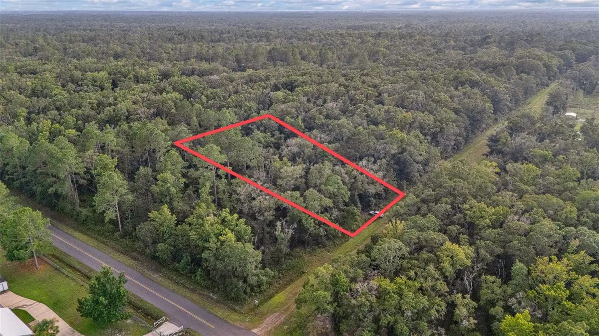 4725 Alvin Street, Hastings, FL 32145 - #1