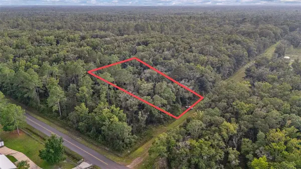 4725 Alvin Street, HASTINGS, FL 32145