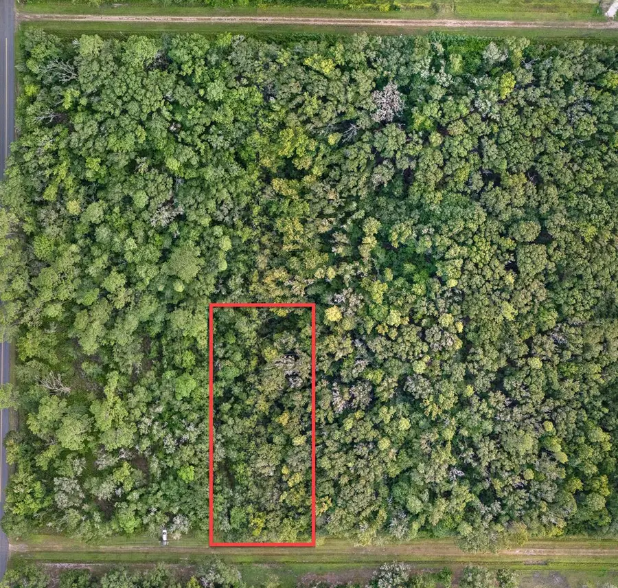 4725 Alvin Street, Hastings, FL 32145 - #2