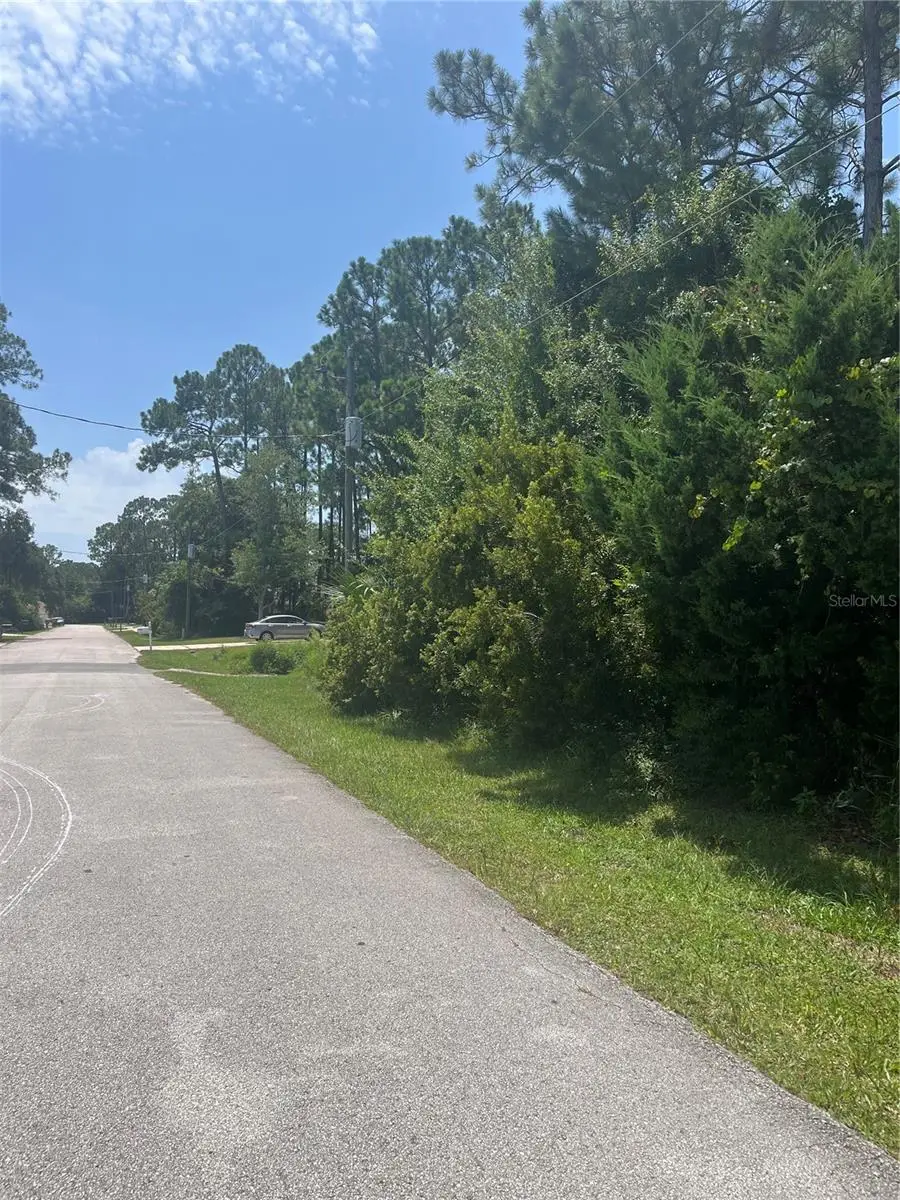 31 Bunker Knolls Lane, Palm Coast, FL 32137 - #2