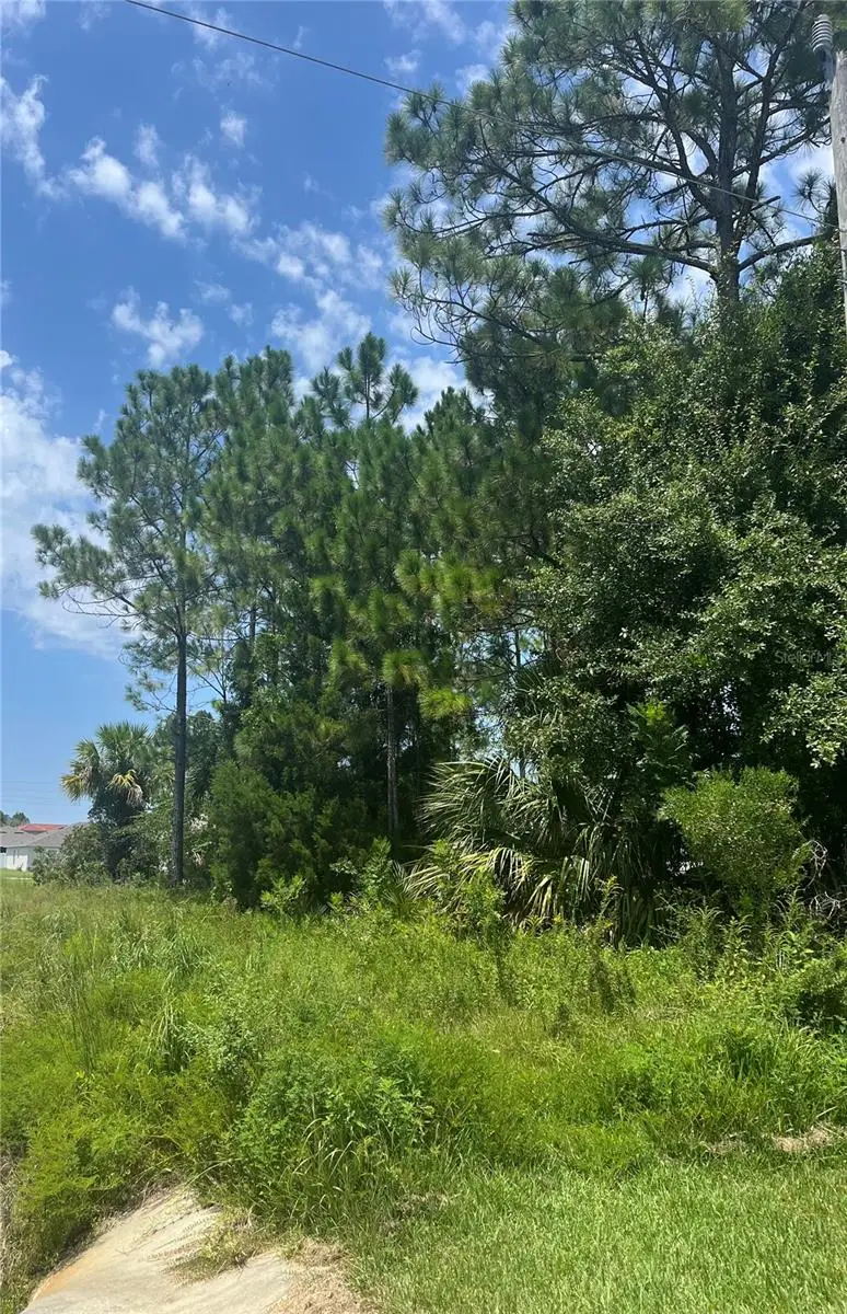 31 Bunker Knolls Lane, Palm Coast, FL 32137 - #3