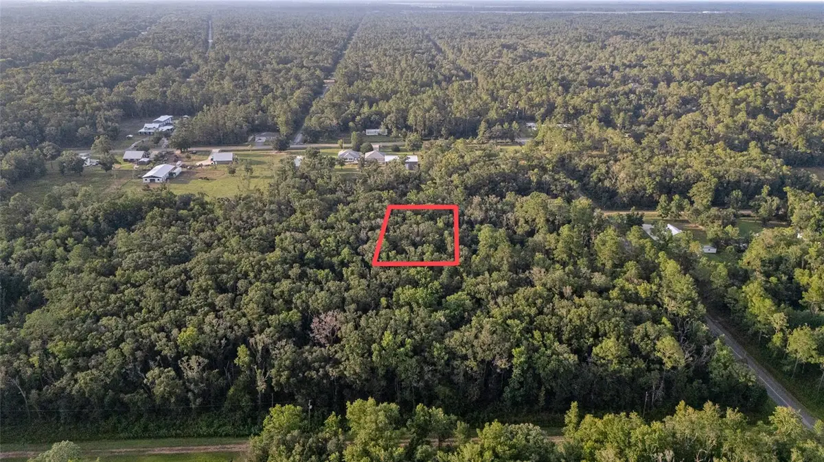 4715 Alvin Street, Hastings, FL 32145 - #1