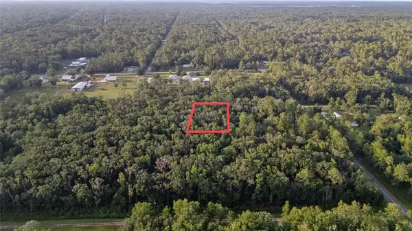 4715 Alvin Street, HASTINGS, FL 32145