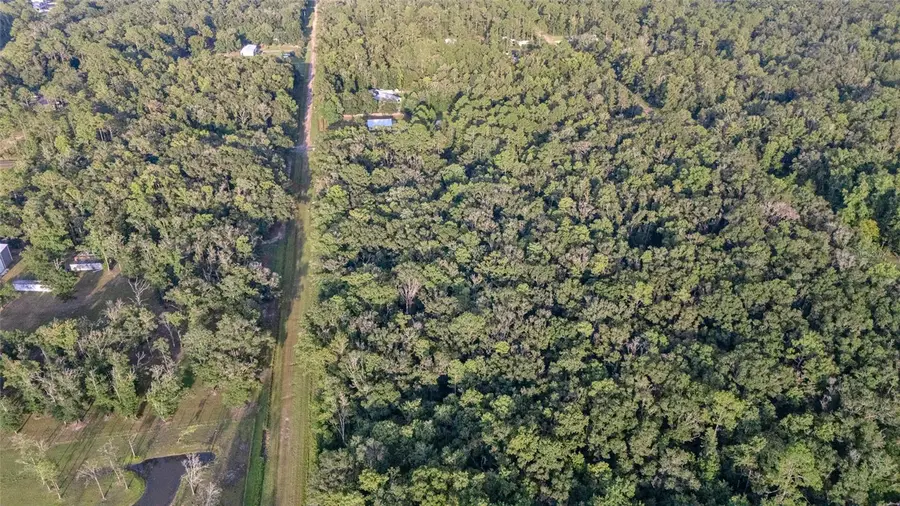 4715 Alvin Street, Hastings, FL 32145 - #2