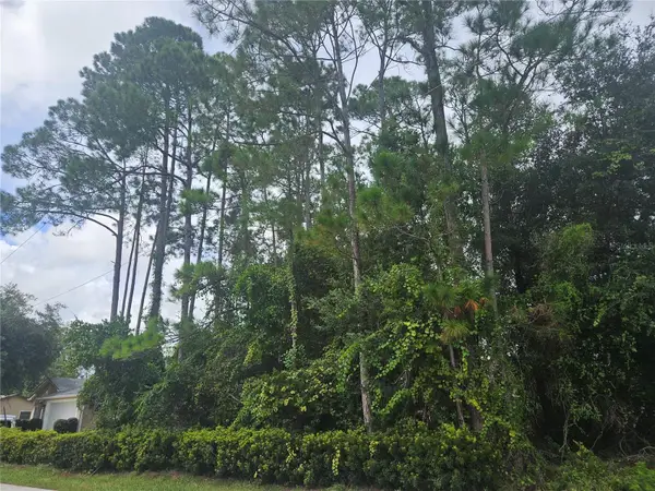 30 Panorama Drive, PALM COAST, FL 32164
