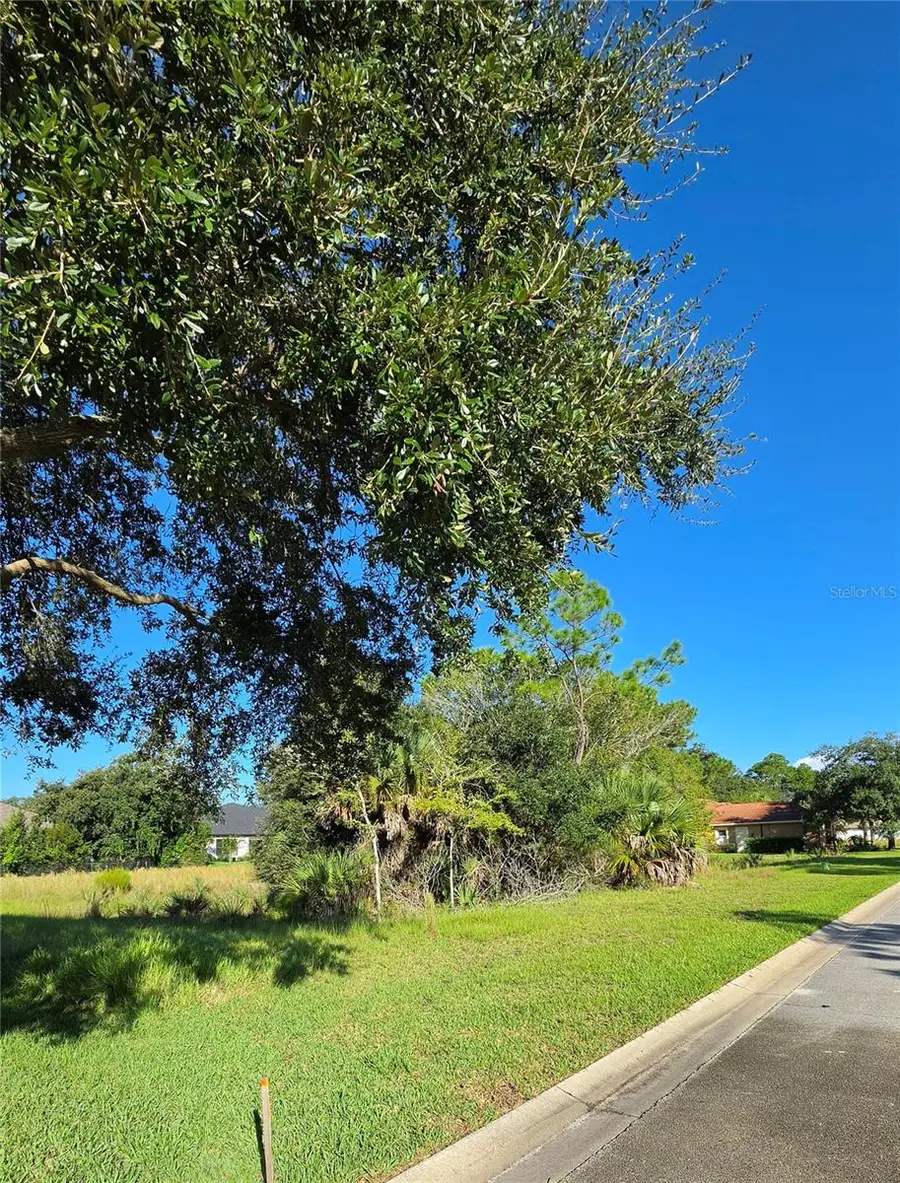 57 S Old Oak Drive, Palm Coast, FL 32137 - #3
