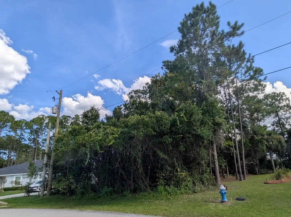 7 Seckel Ct, Palm Coast, FL 32164 - #1