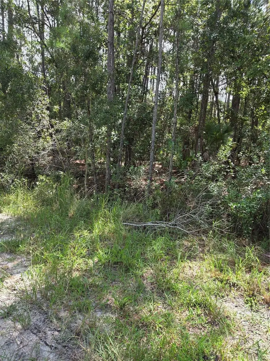 Sw 140th Ave, Ocala, FL 34481 - #1