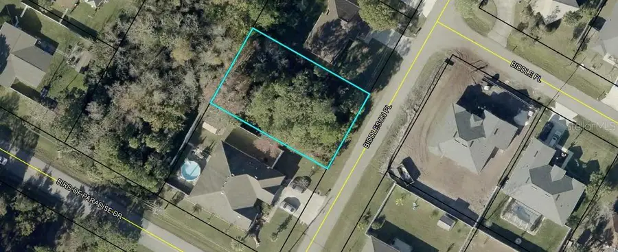 3 Biddleson Place, Palm Coast, FL 32137 - #2