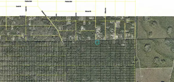 XXX Division Street, HASTINGS, FL 32145