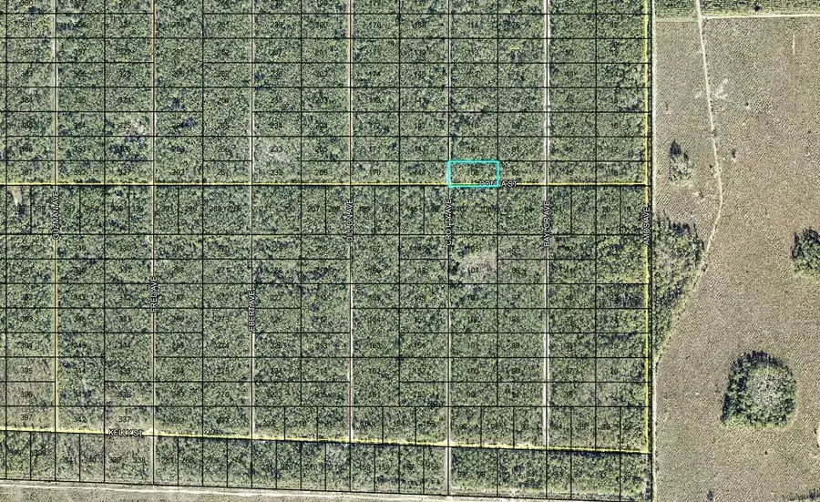 108 Crotty Street, Hastings, FL 32145 - #2