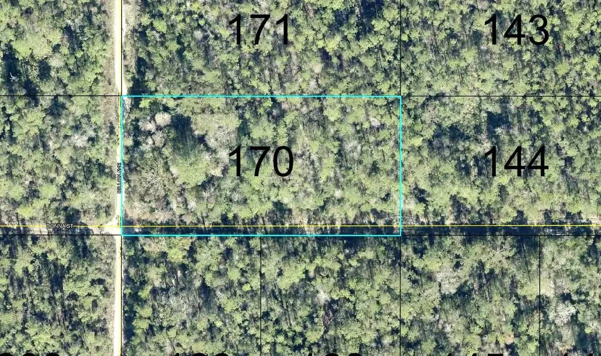 170 Dilllion Avenue, Hastings, FL 32145 - #1