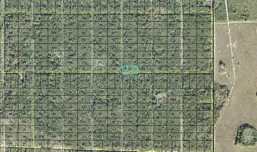 170 Dilllion Avenue, Hastings, FL 32145 - #2
