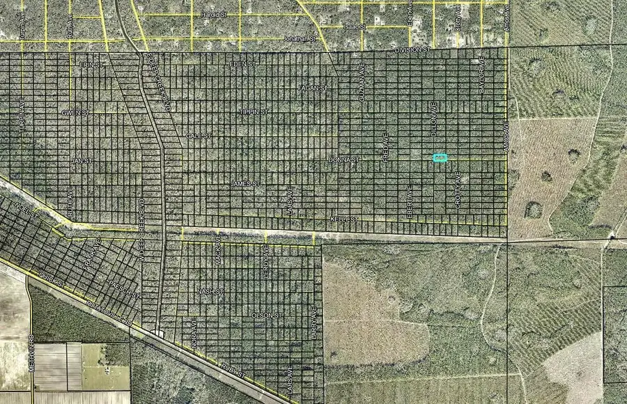 170 Dilllion Avenue, Hastings, FL 32145 - #3
