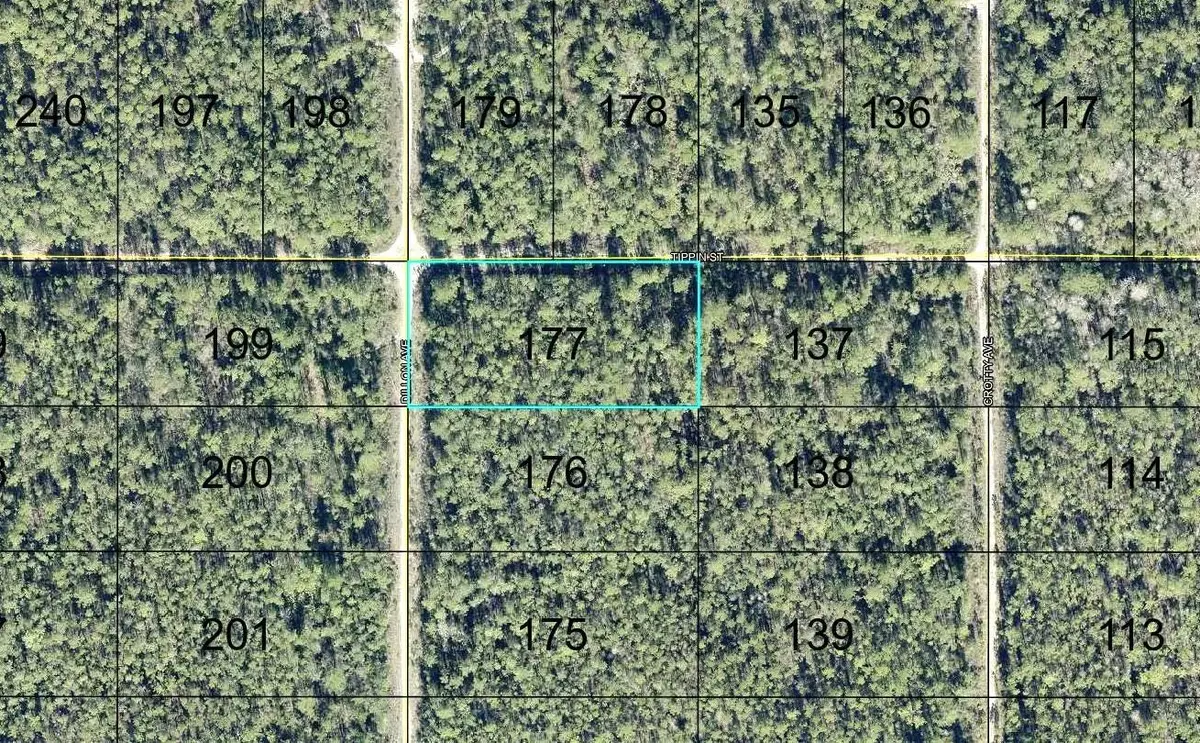 177 Dillion Avenue, Hastings, FL 32145 - #1
