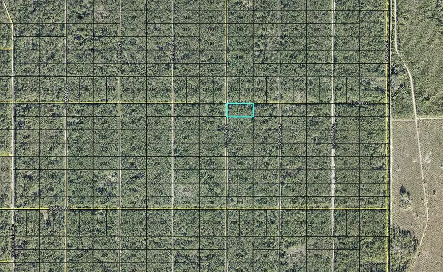 177 Dillion Avenue, Hastings, FL 32145 - #2