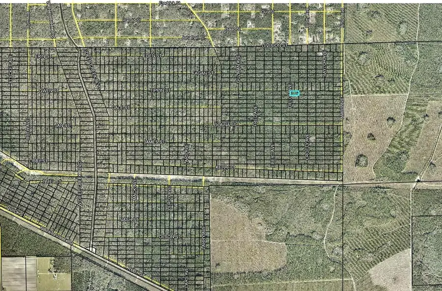177 Dillion Avenue, Hastings, FL 32145 - #3