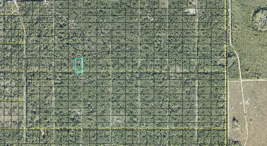 319 Tippin Street, Hastings, FL 32145 - #2