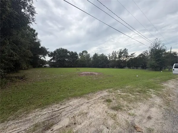 517 Orange Street, WELAKA, FL 32193