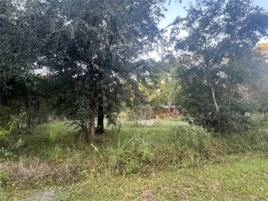 1696 Rosewood Street, Bunnell, FL 32110 - #2