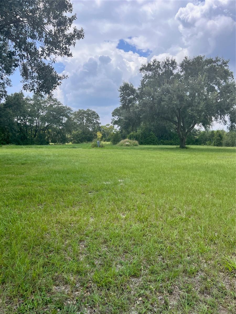 35347 Micro Racetrack Road, FRUITLAND PARK, FL 34731 ERA