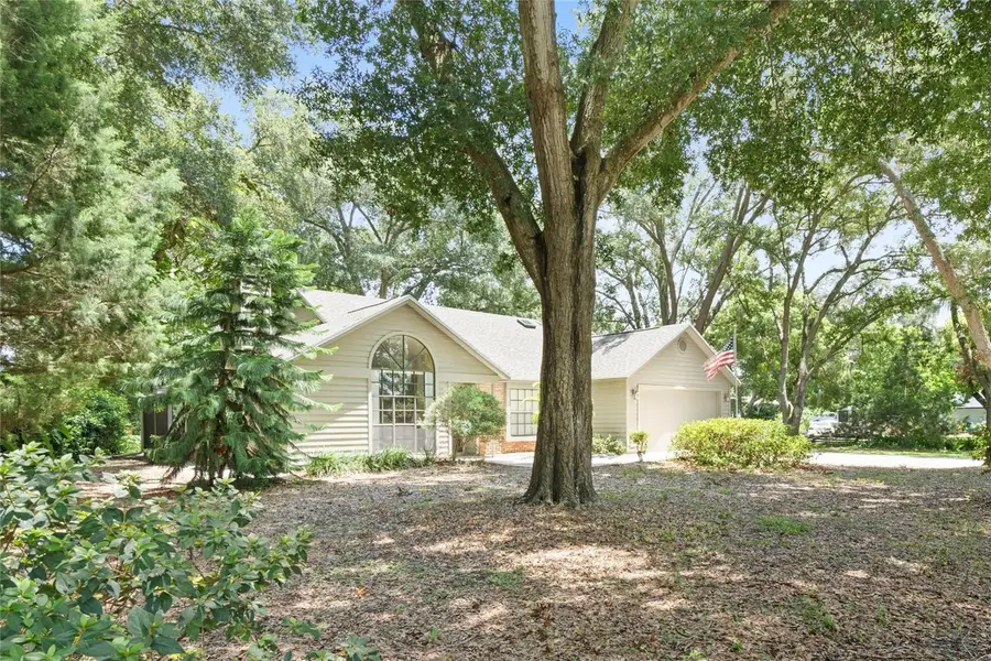 3909 Lake Forest Street, Mount Dora, FL 32757 - #2