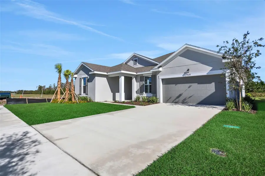 17397 Crisp Apple Lane, Land O Lakes, FL 34638 - Image #3