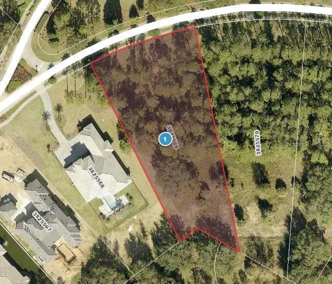 15512 Pendio Drive, Montverde, FL 34756 - #1