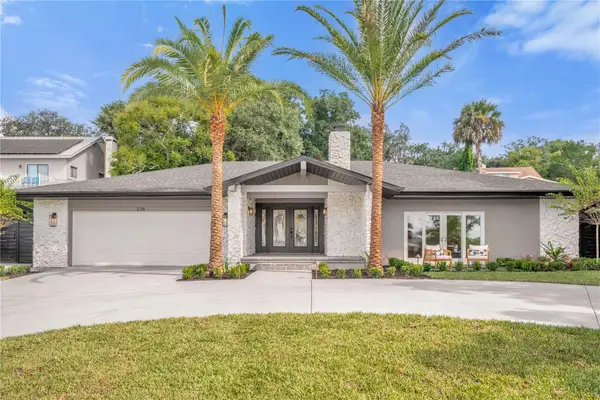 238 E Lakeshore Drive, CLERMONT, FL 34711