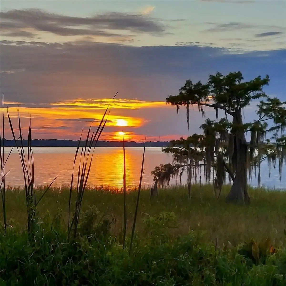 2225 Cypress Court #2C, Tavares, FL 32778 - Image #1